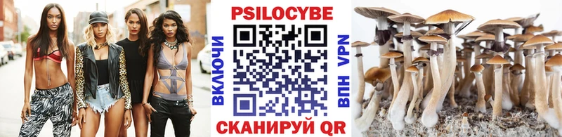 Купить где  Пудож  Галлюциногенные грибы Psilocybe 